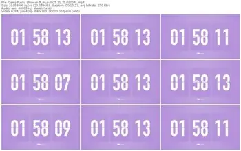 cams-ff_mur-11-25-2025-01-00-41