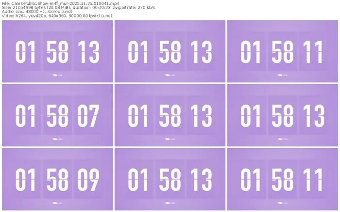 cams-ff_mur-11-25-2025-01-00-41