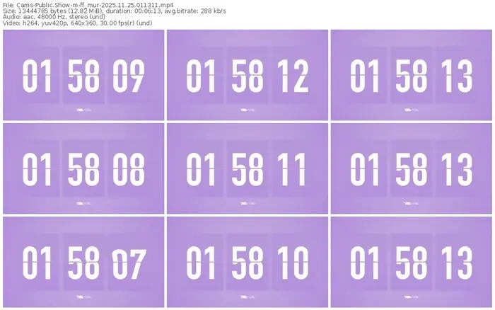 cams-ff_mur-11-25-2025-01-13-11