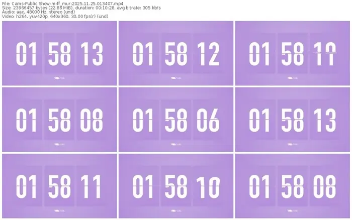 cams-ff_mur-11-25-2025-01-34-07