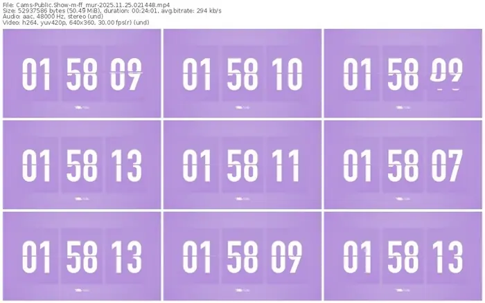 cams-ff_mur-11-25-2025-02-14-48