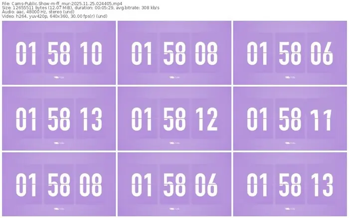 cams-ff_mur-11-25-2025-02-44-05