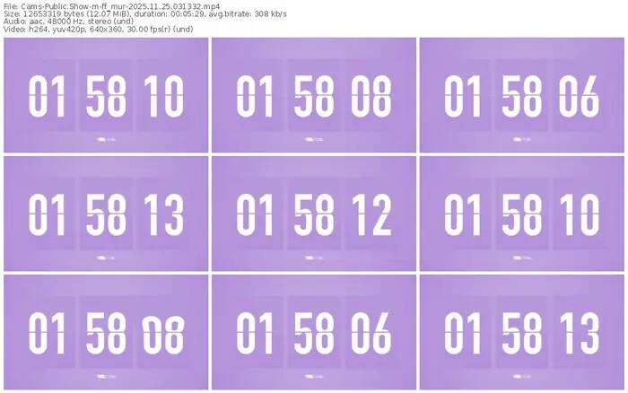 cams-ff_mur-11-25-2025-03-13-32