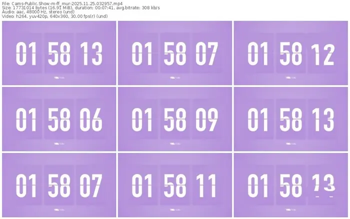 cams-ff_mur-11-25-2025-03-29-57