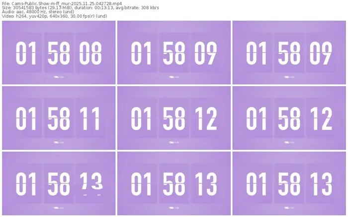 cams-ff_mur-11-25-2025-04-27-28