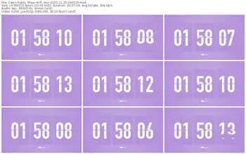 cams-ff_mur-11-25-2025-04-45-23