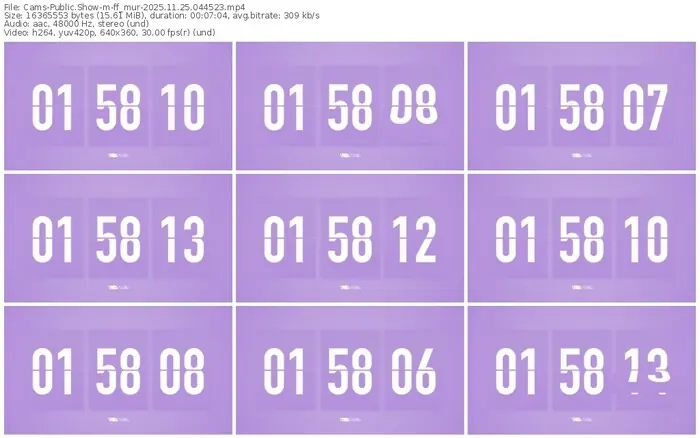 cams-ff_mur-11-25-2025-04-45-23