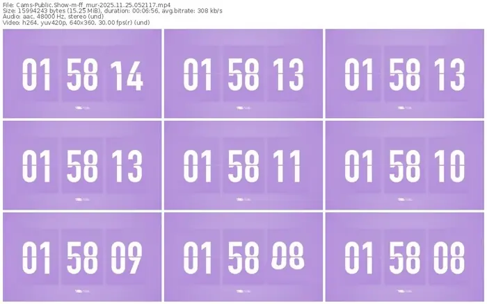 cams-ff_mur-11-25-2025-05-21-17