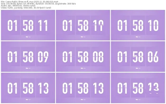 cams-ff_mur-11-25-2025-08-10-15