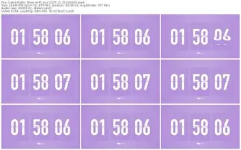 cams-ff_mur-11-25-2025-08-20-03