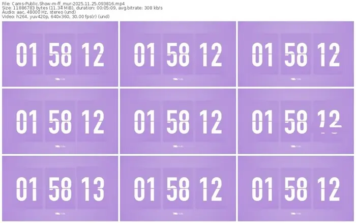 cams-ff_mur-11-25-2025-09-38-16