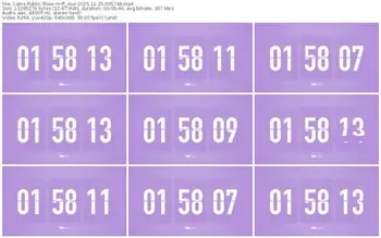 cams-ff_mur-11-25-2025-09-57-48