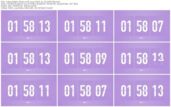 cams-ff_mur-11-25-2025-09-57-48