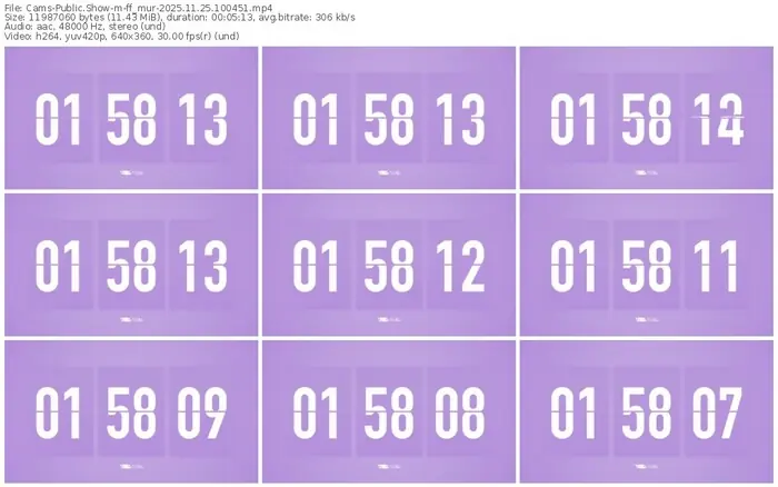 cams-ff_mur-11-25-2025-10-04-51