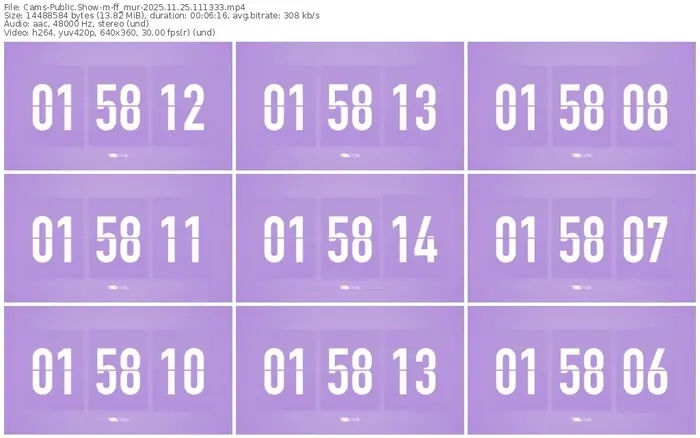 cams-ff_mur-11-25-2025-11-13-33