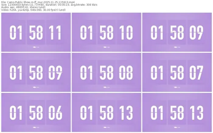 cams-ff_mur-11-25-2025-11-59-13