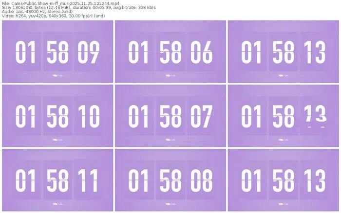 cams-ff_mur-11-25-2025-12-12-44