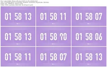 cams-ff_mur-11-25-2025-12-33-24