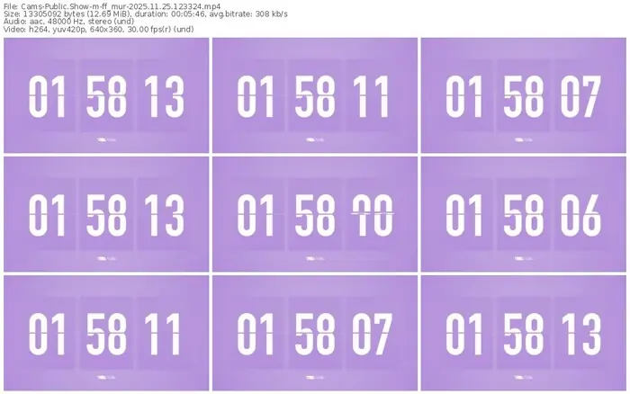 cams-ff_mur-11-25-2025-12-33-24