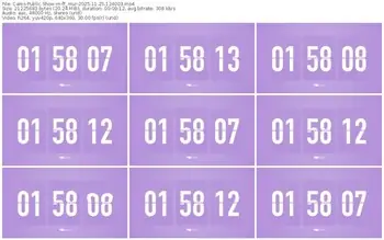 cams-ff_mur-11-25-2025-12-40-03