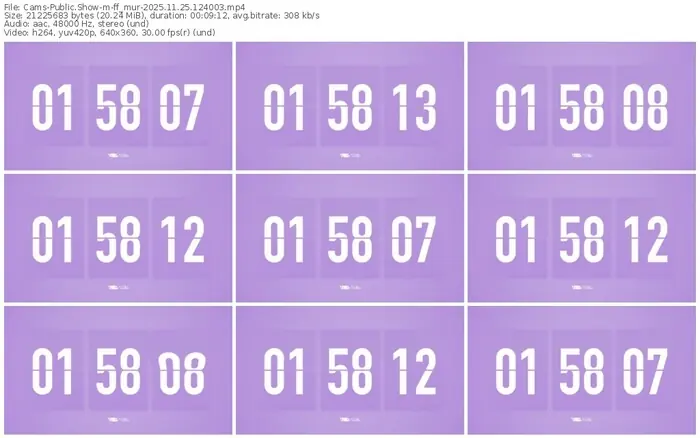 cams-ff_mur-11-25-2025-12-40-03