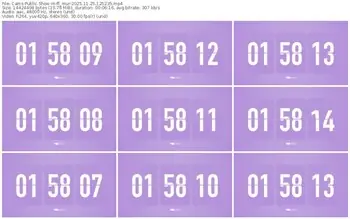 cams-ff_mur-11-25-2025-12-52-35