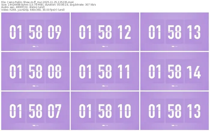 cams-ff_mur-11-25-2025-12-52-35