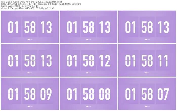 cams-ff_mur-11-25-2025-13-24-05