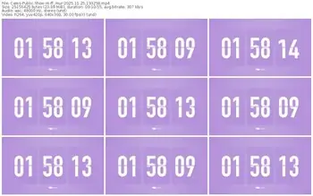 cams-ff_mur-11-25-2025-13-32-58