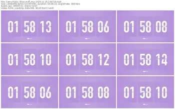 cams-ff_mur-11-25-2025-13-47-14