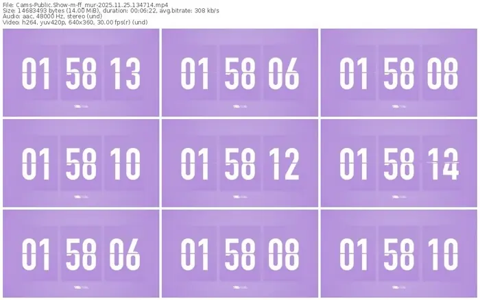 cams-ff_mur-11-25-2025-13-47-14