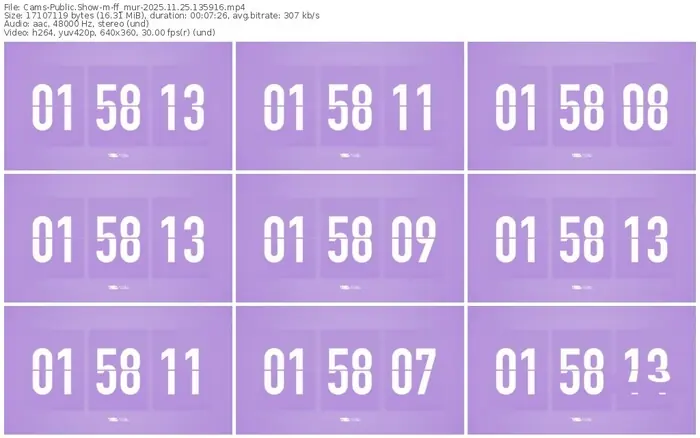 cams-ff_mur-11-25-2025-13-59-16