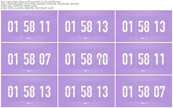 cams-ff_mur-11-25-2025-14-07-56