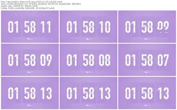 cams-ff_mur-11-25-2025-14-14-21