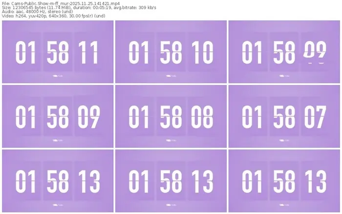 cams-ff_mur-11-25-2025-14-14-21