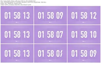 cams-ff_mur-11-25-2025-14-29-49