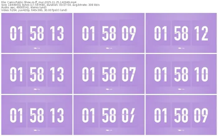 cams-ff_mur-11-25-2025-14-29-49