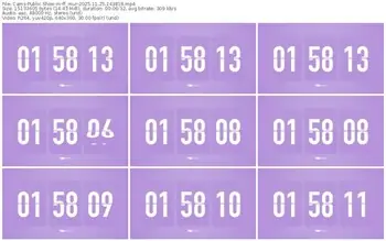 cams-ff_mur-11-25-2025-14-38-18