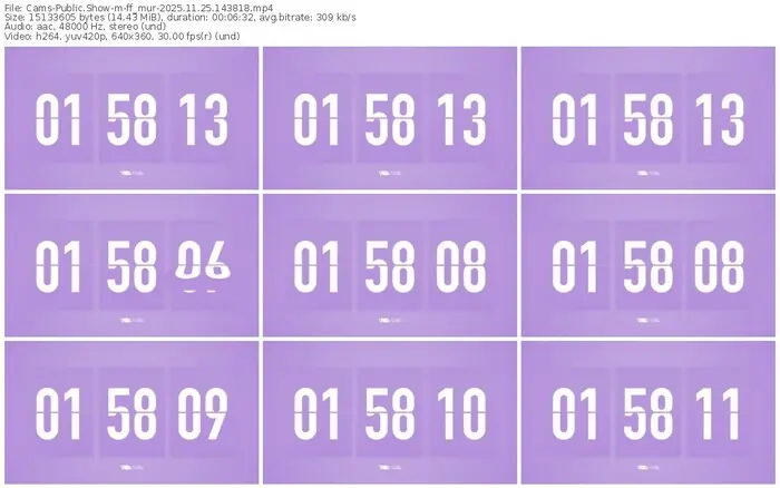 cams-ff_mur-11-25-2025-14-38-18