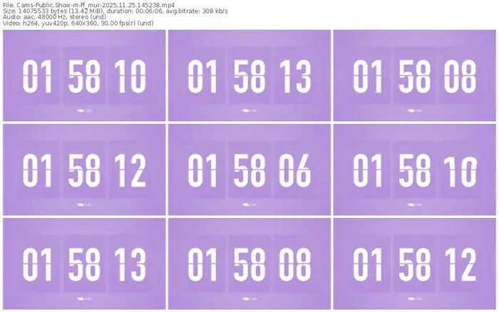 cams-ff_mur-11-25-2025-14-52-38