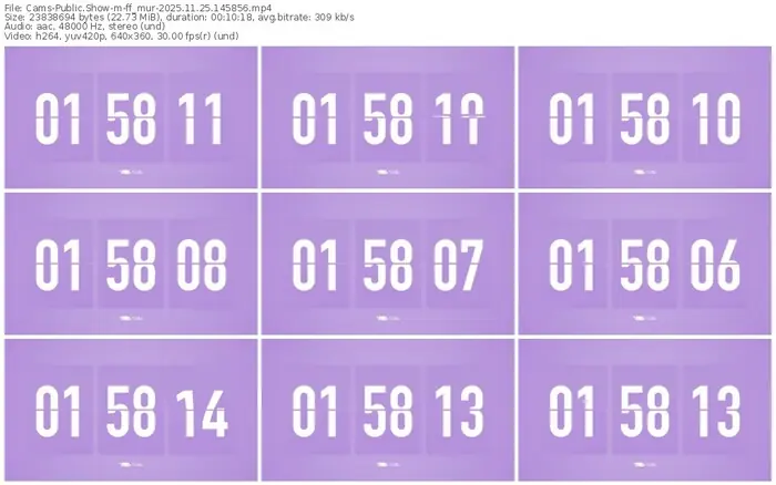cams-ff_mur-11-25-2025-14-58-56