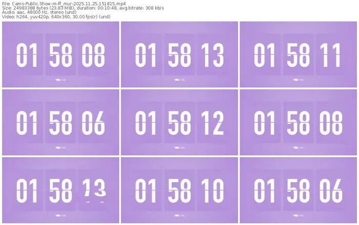 cams-ff_mur-11-25-2025-15-18-15