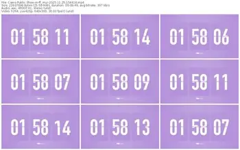 cams-ff_mur-11-25-2025-15-44-16