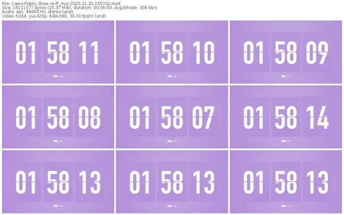 cams-ff_mur-11-25-2025-15-57-02