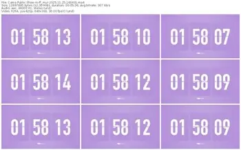 cams-ff_mur-11-25-2025-16-04-01