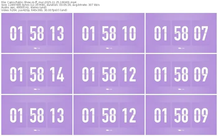 cams-ff_mur-11-25-2025-16-04-01