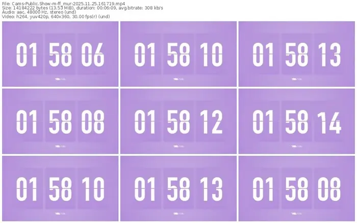 cams-ff_mur-11-25-2025-16-17-19