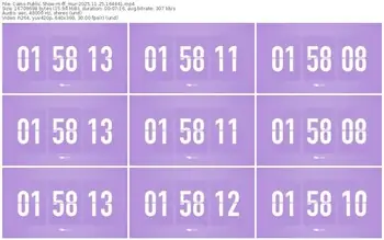 cams-ff_mur-11-25-2025-16-44-41