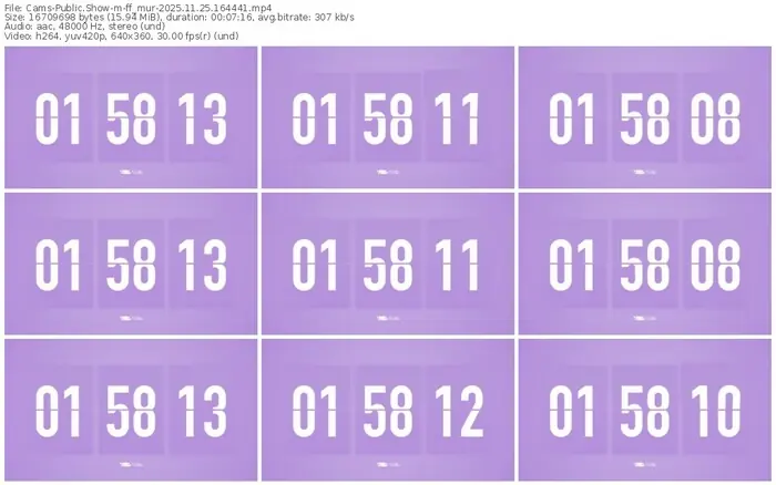 cams-ff_mur-11-25-2025-16-44-41