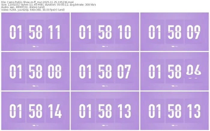 cams-ff_mur-11-25-2025-16-52-36